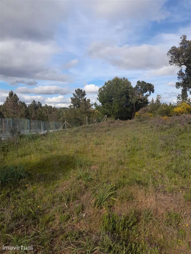 Terreno Rústico  Venda em Benquerenças,Castelo Branco - Grande imagem: 2/8