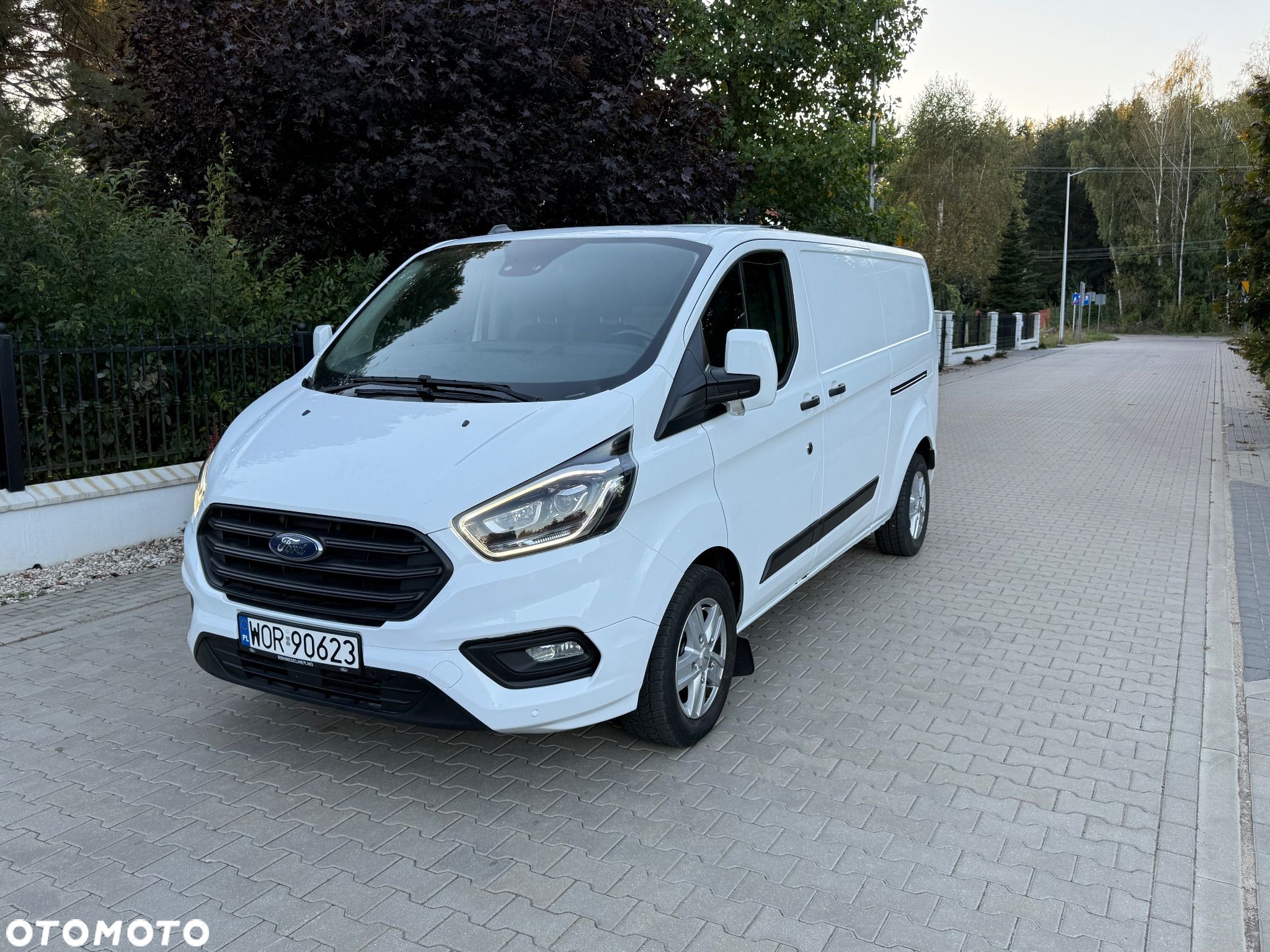 Ford Transit Custom - 1