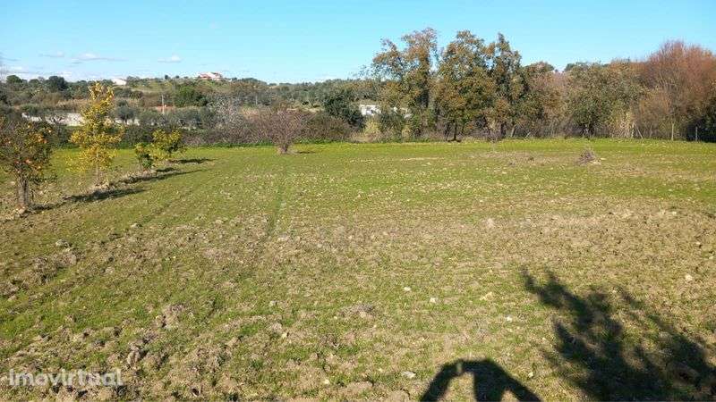 Terreno Idanha A Nova - Grande imagem: 3/7