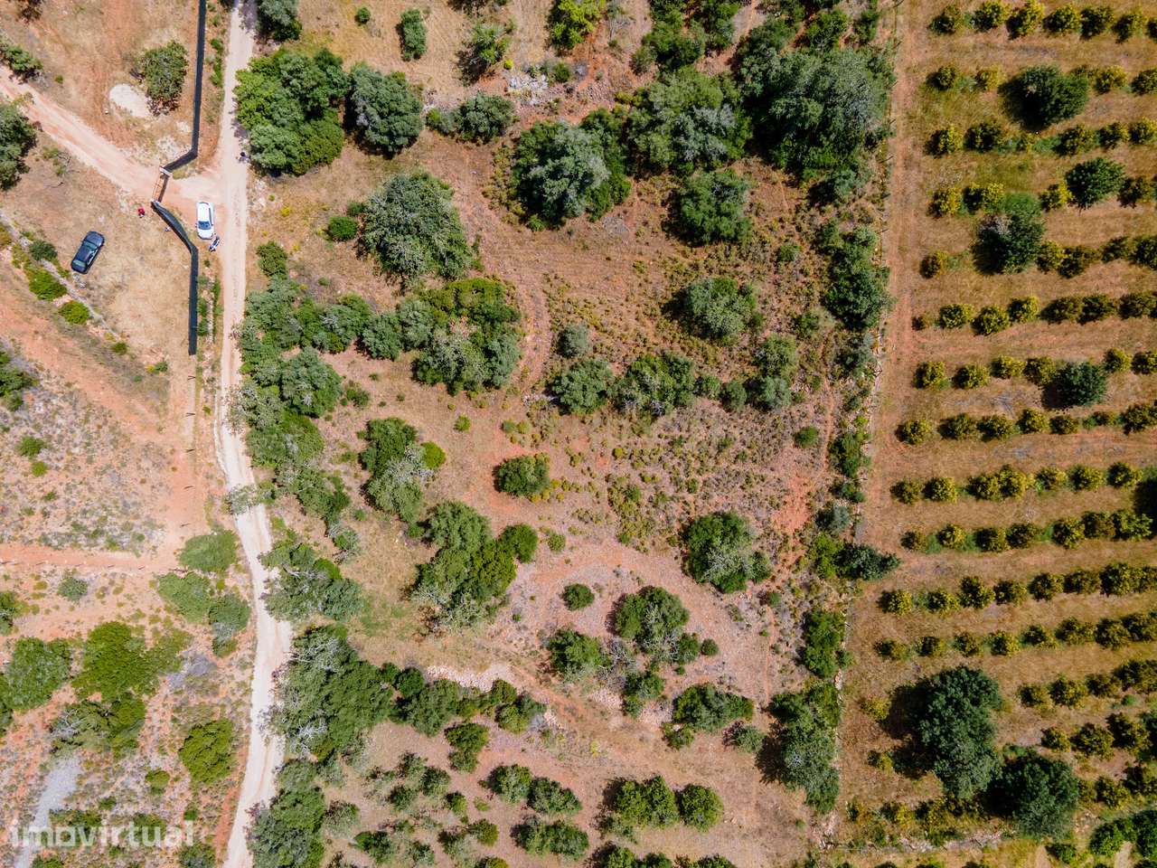 Terreno rústico em Torres e Cercas (Silves) – 2670 m2, bons acessos e - Grande imagem: 3/11