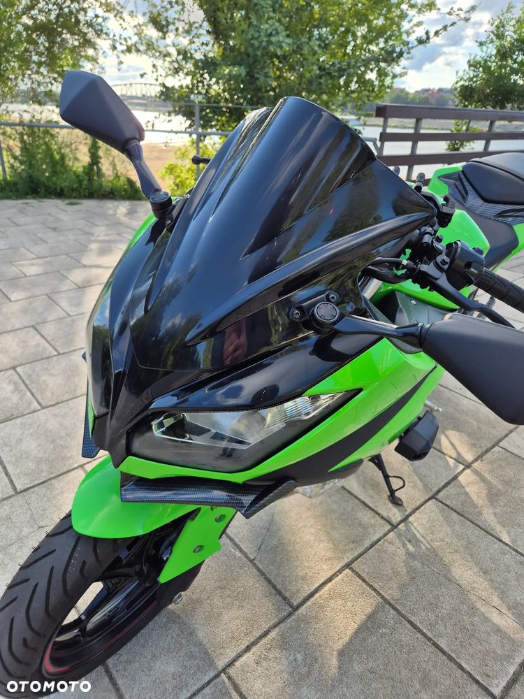 Kawasaki Ninja 300 ABS - 10