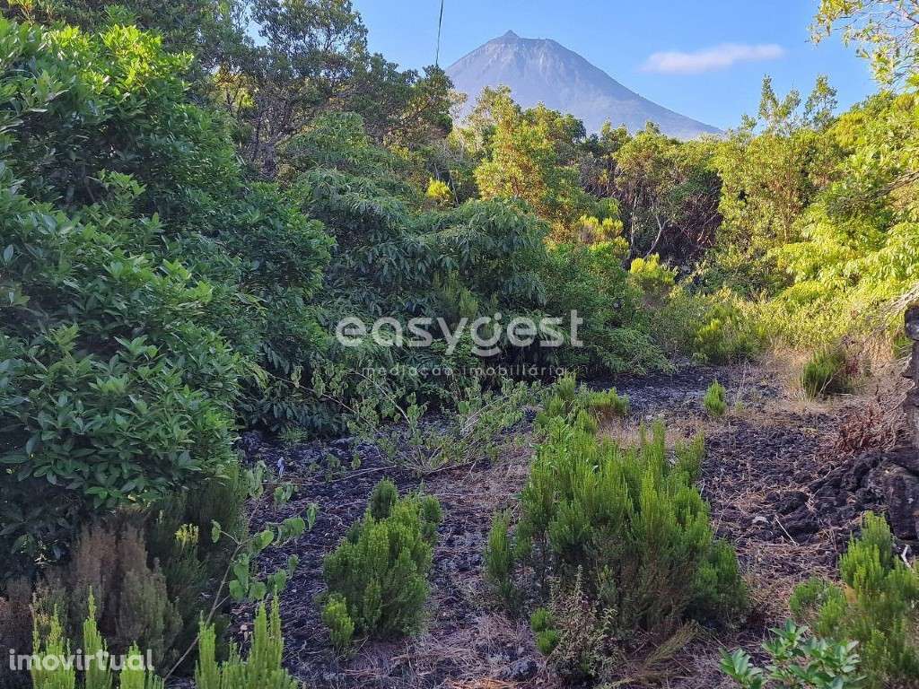 Terreno para construção com privacidade e vista Mar e Montanha - Grande imagem: 4/15