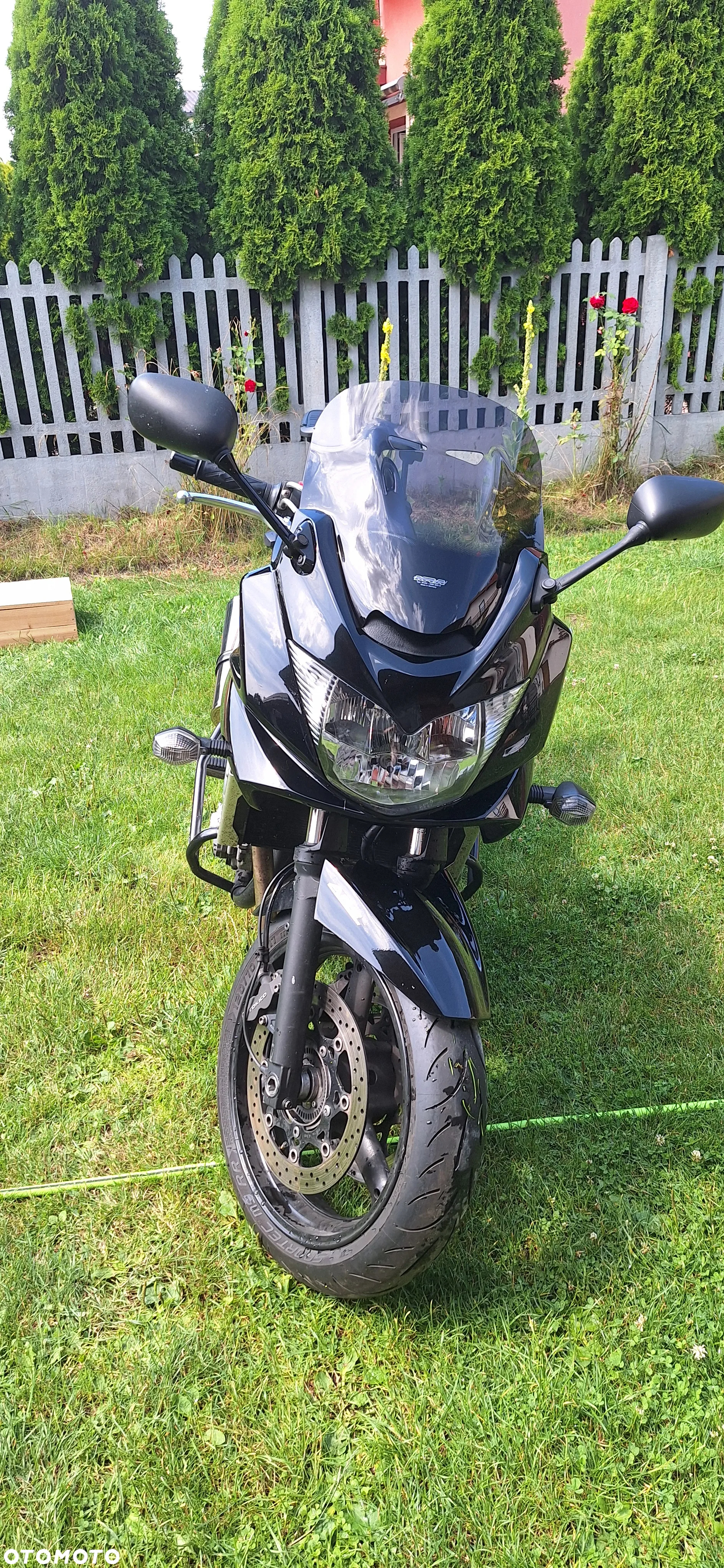 Suzuki Bandit - 3