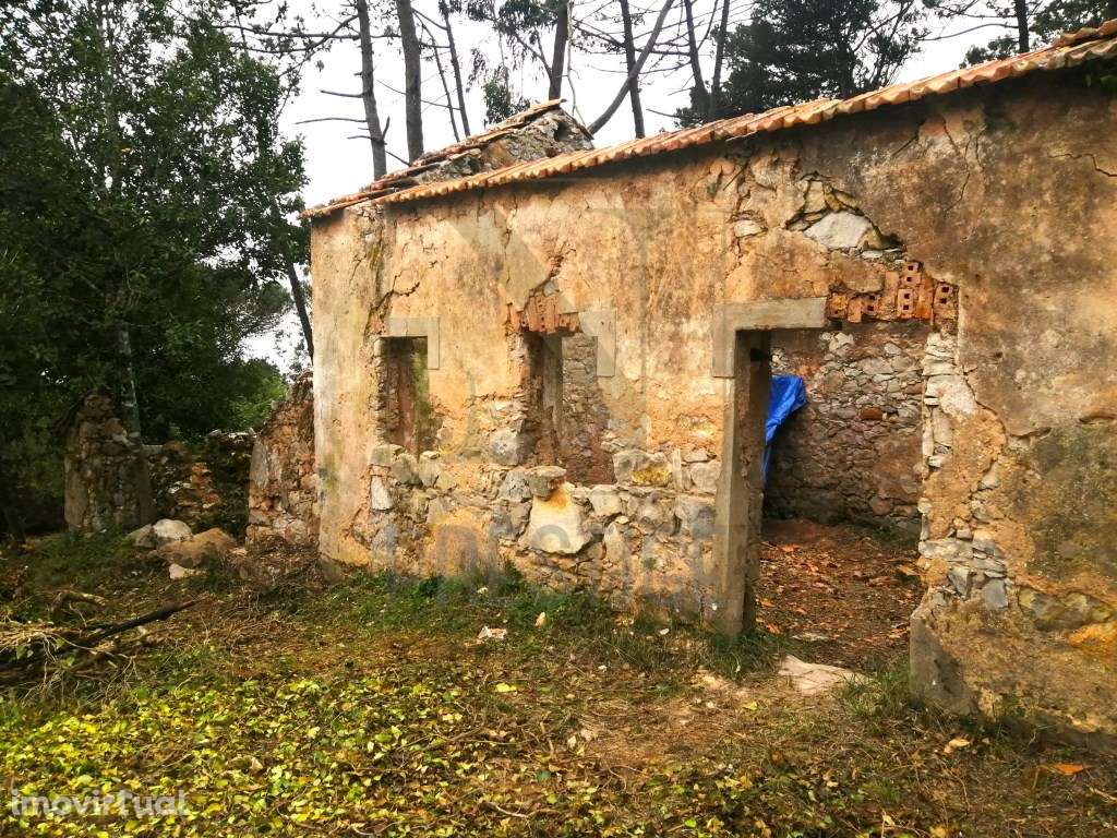 Terreno urbano na Serra da Boa Viagem - Grande imagem: 4/11