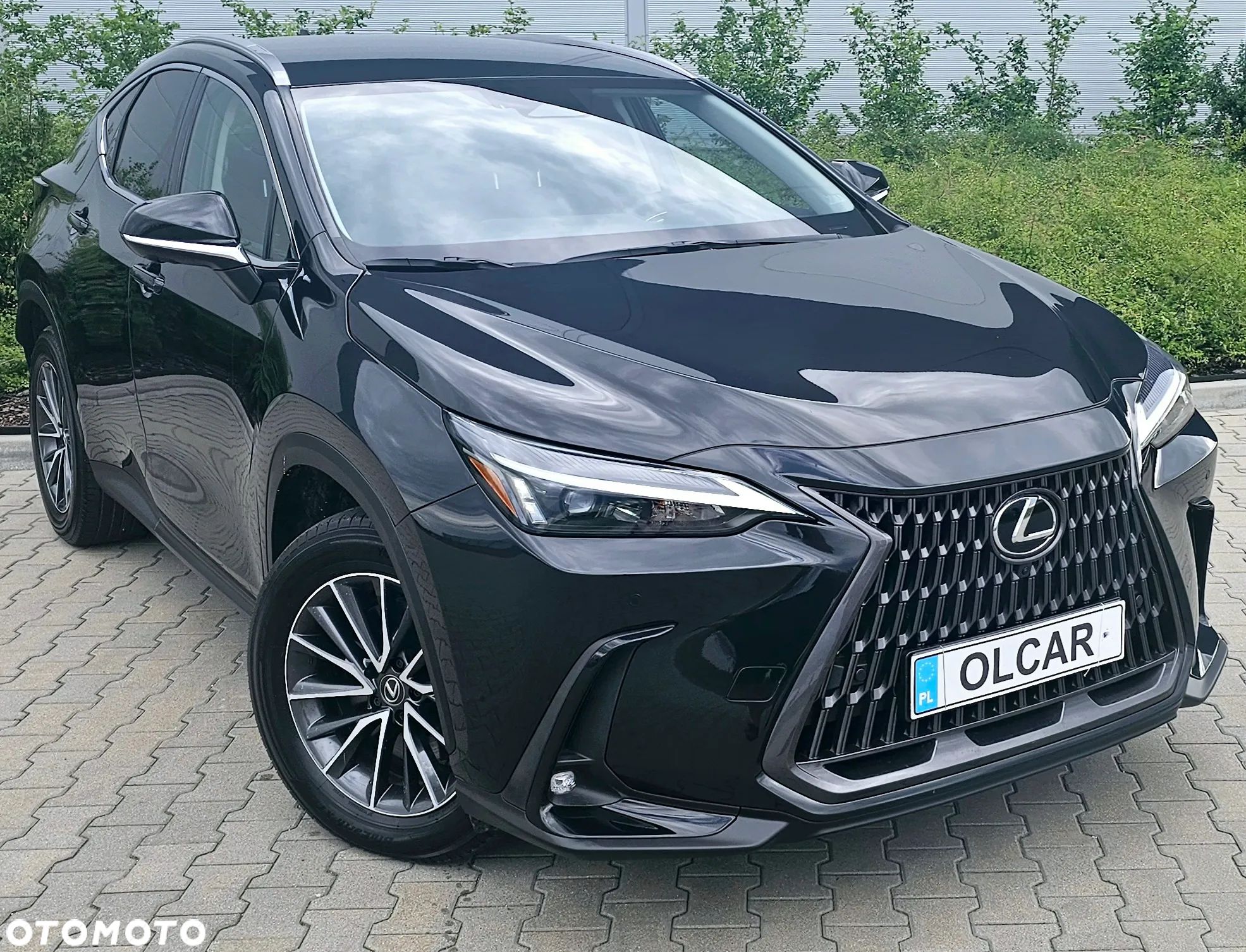 Lexus NX 450h+ Overtrail AWD - 1