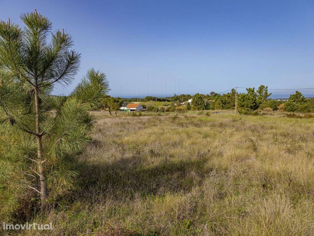 Terreno - Zambujal - Grande imagem: 2/6