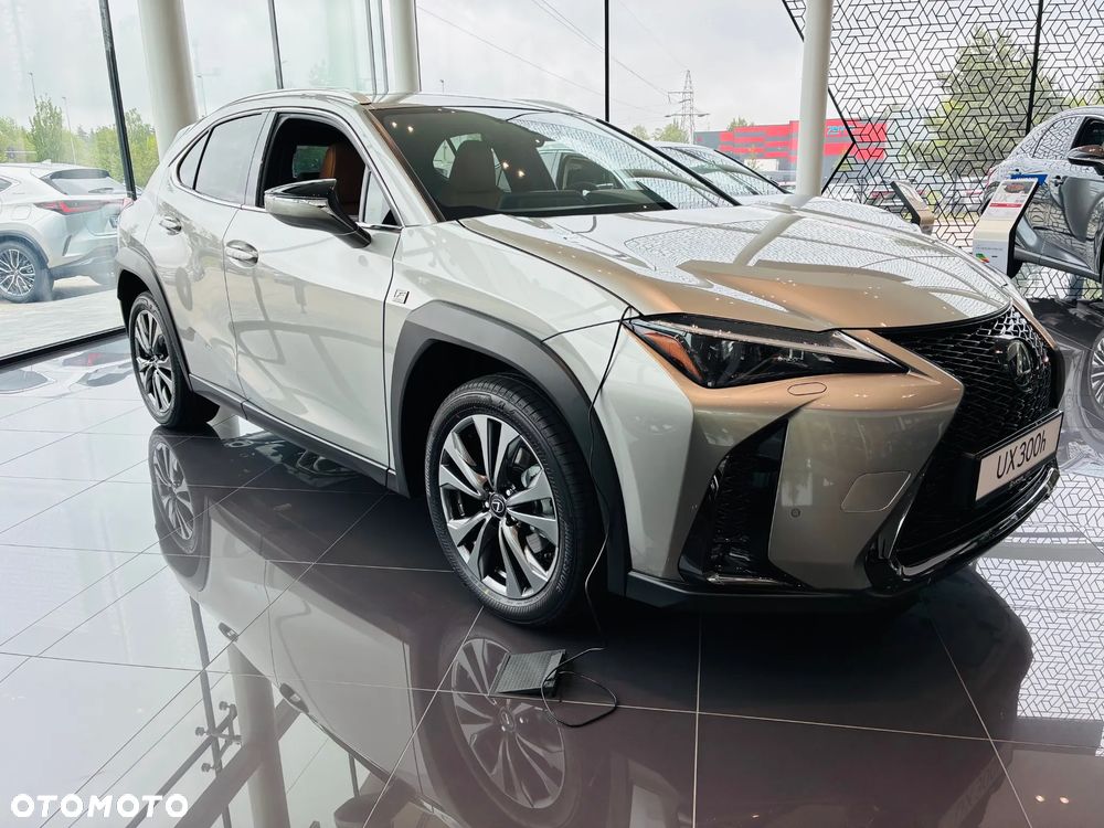 Lexus UX 300h F Sport Design - 9