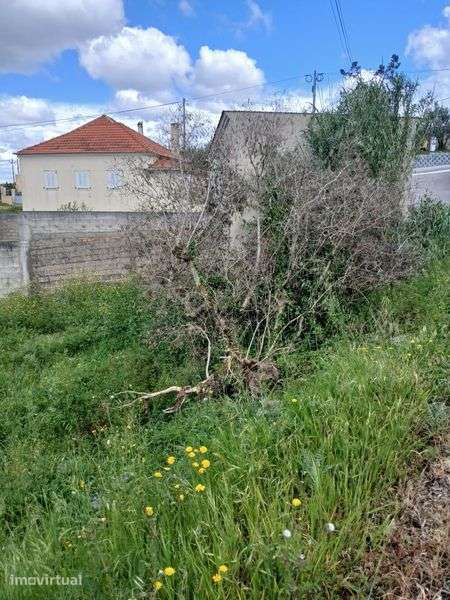 Terreno constructível bem localizado - Grande imagem: 5/5