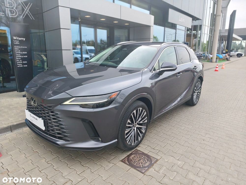 Lexus RX - 23