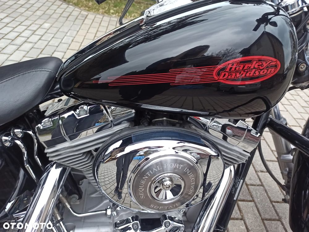 Harley-Davidson Softail Standard - 5