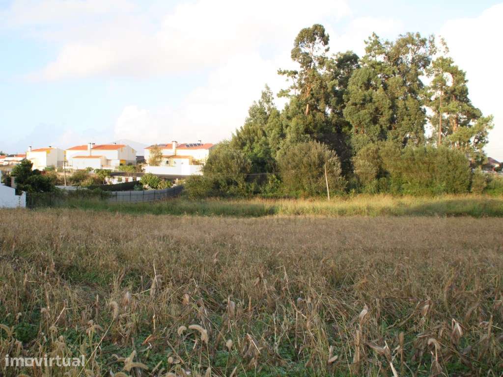 Espaçoso terreno com 2 frentes para construção de moradias - Aveiro - Grande imagem: 3/5