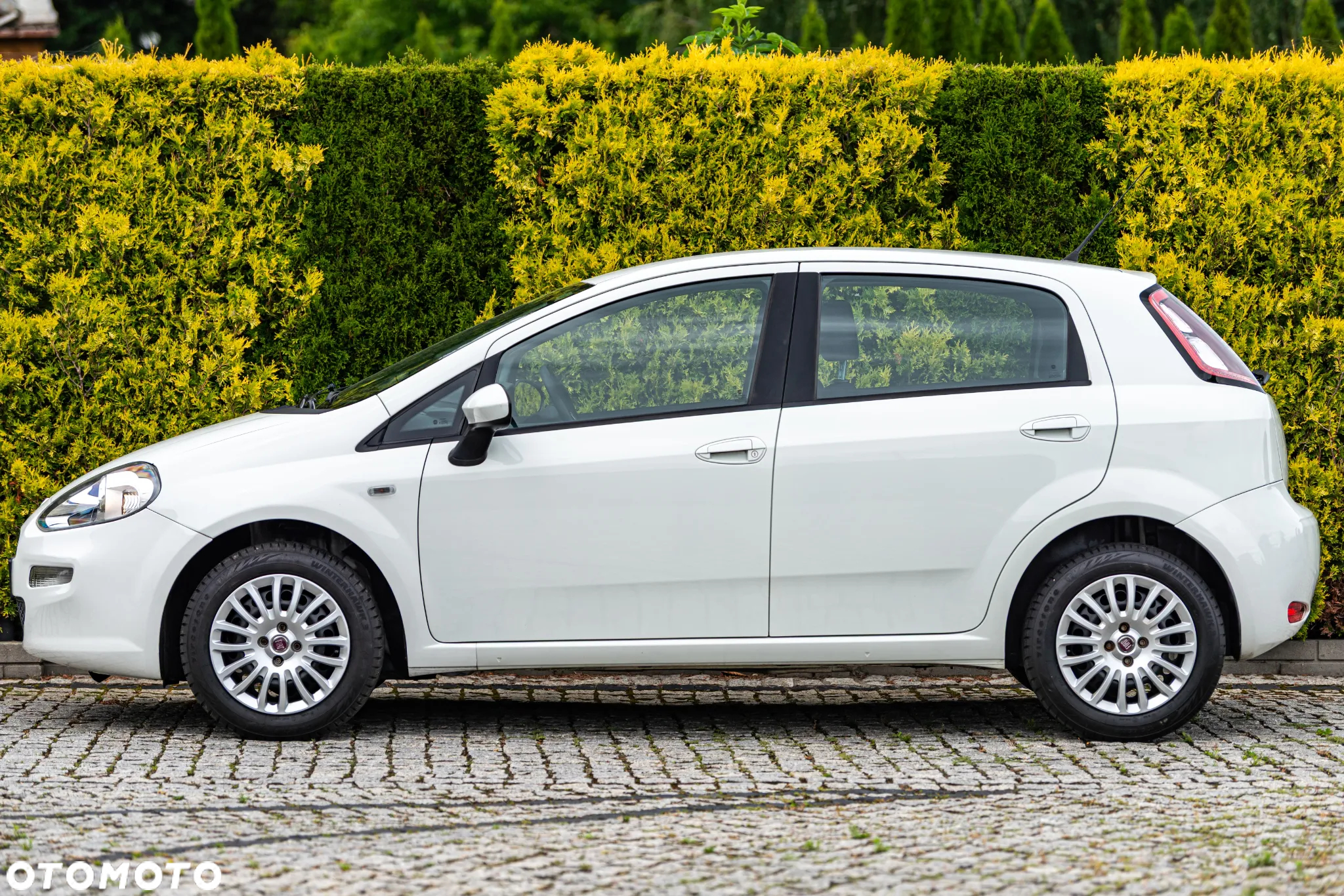 Fiat Punto 1.2 Fresh - 15