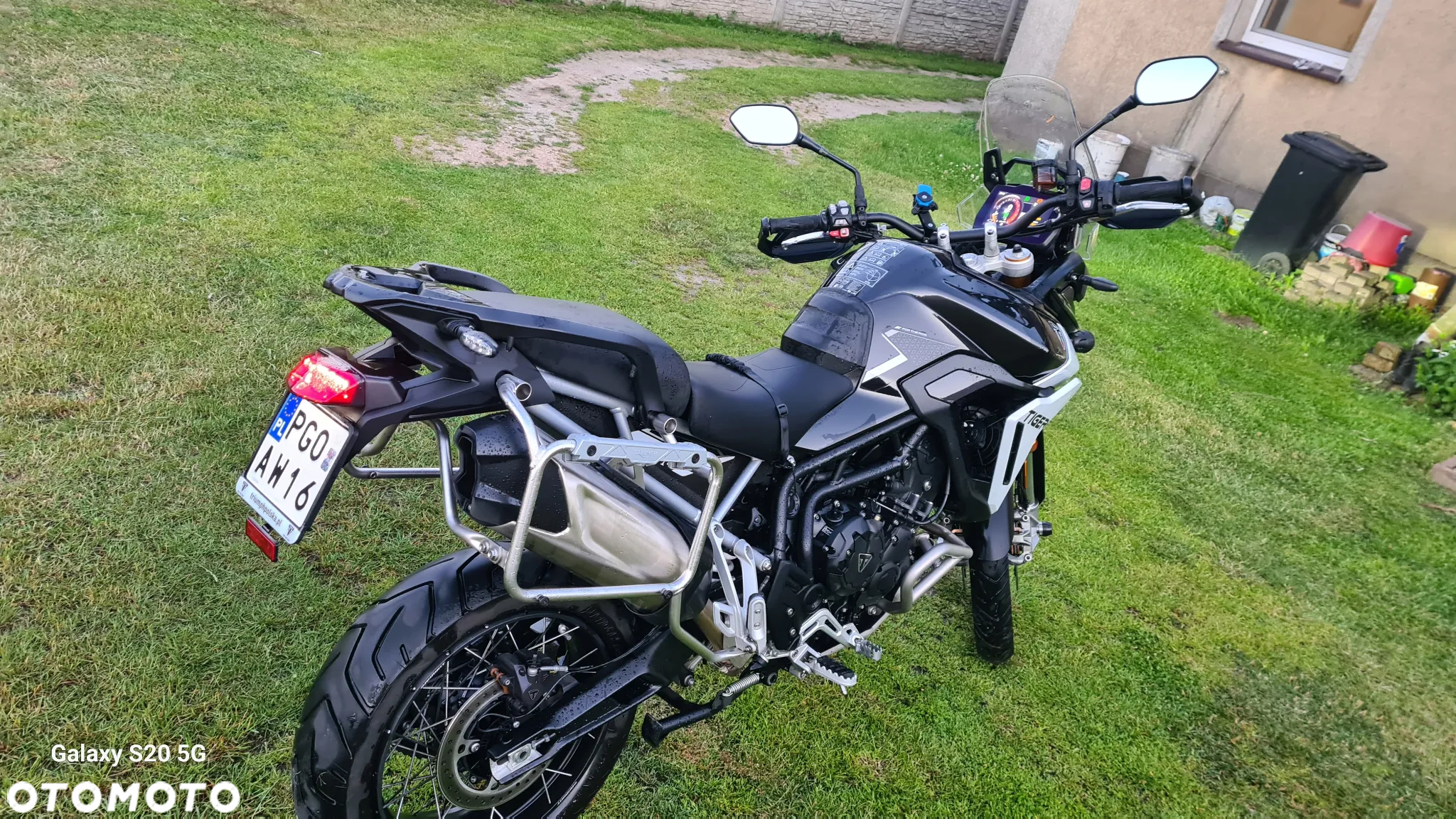 Triumph Tiger - 12
