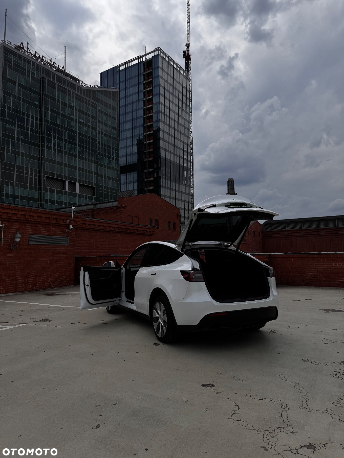 Tesla Y Model Long Range Dual Motor AWD - 20