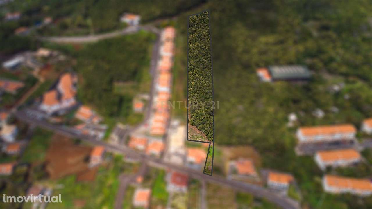 Terreno de 4734m² com Vista Mar em Santa Cruz – Madeira - Grande imagem: 2/5
