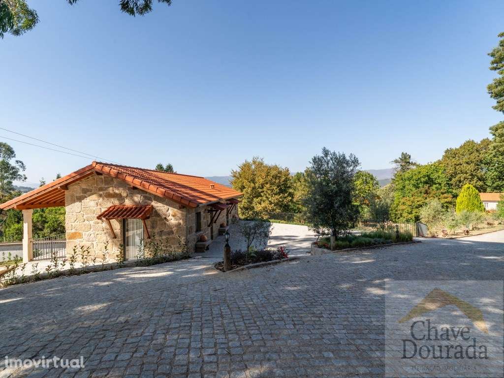 Quinta - Vouzela - Grande imagem: 4/59