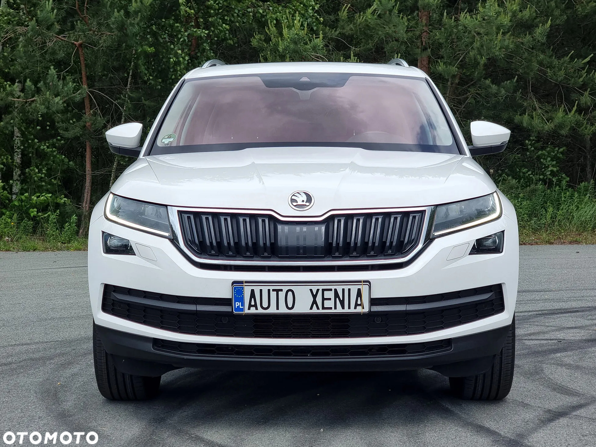 Skoda Kodiaq 2.0 TDI 4x2 Business DSG - 5