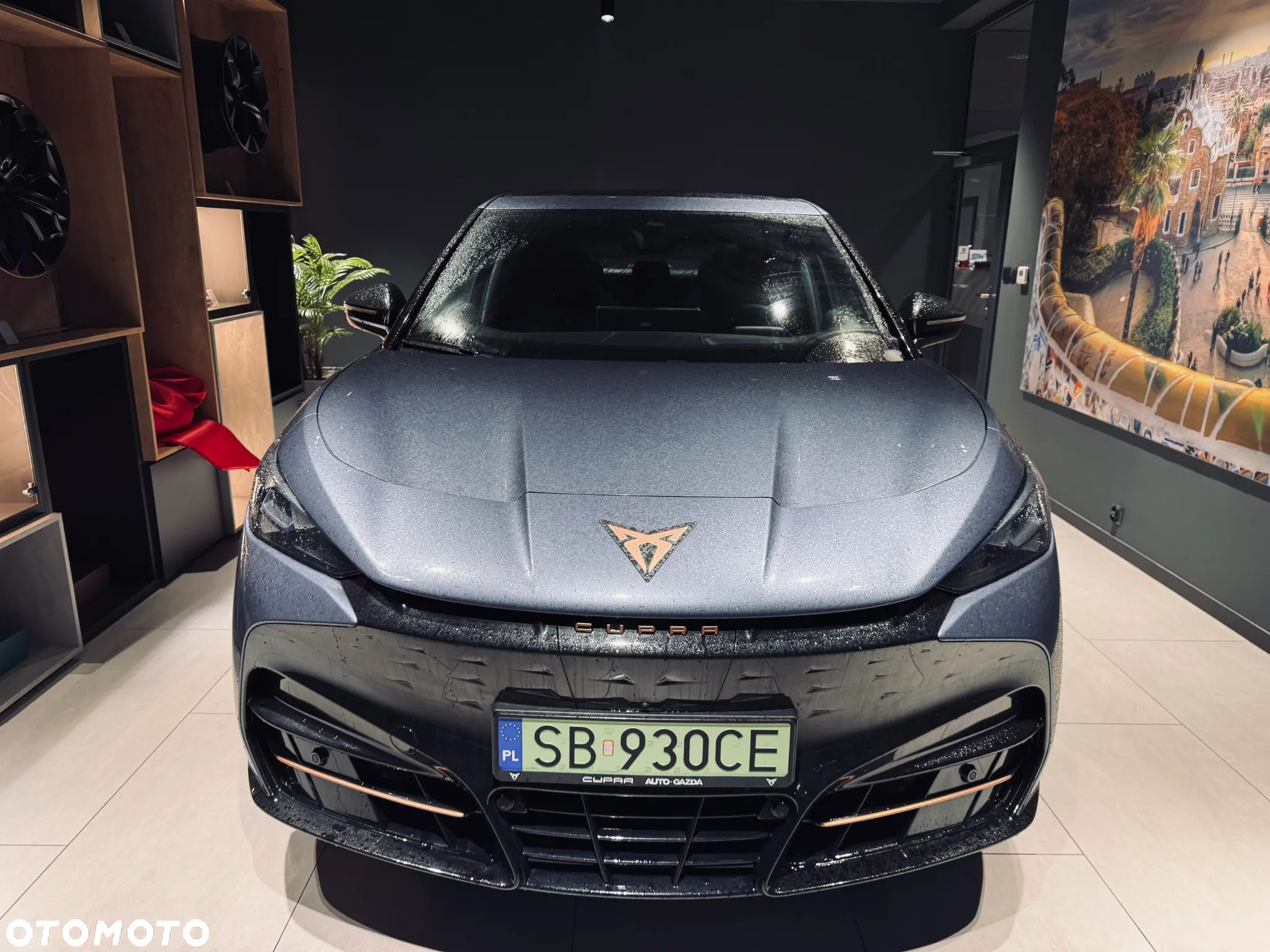 Cupra Tavascan 82kWh Endurance - 2