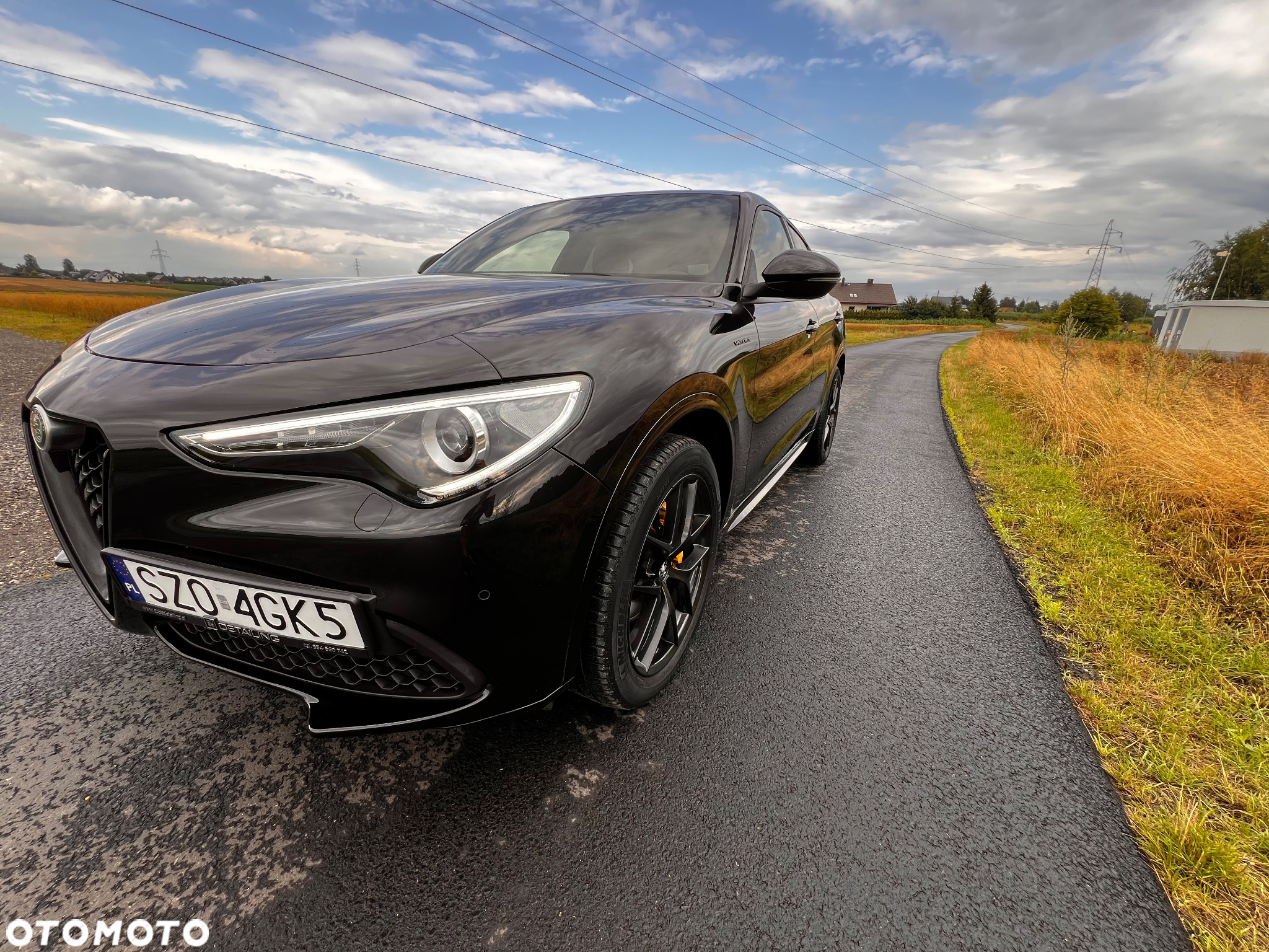 Alfa Romeo Stelvio 2.0 Turbo Veloce Q4 - 6