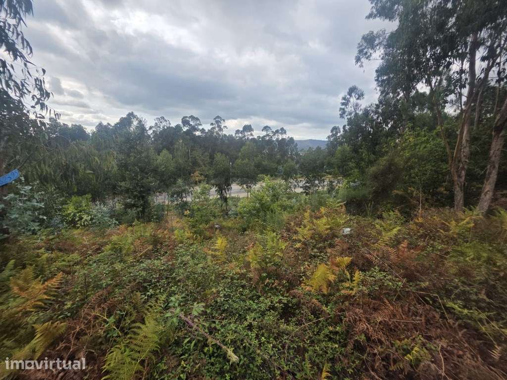Terreno para construção em Ruivães - Grande imagem: 3/7