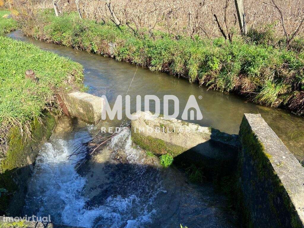 Terreno Plano de 700m2 - Grande imagem: 2/16