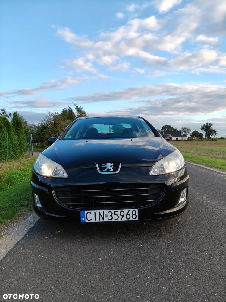 Peugeot 407 1.8 Presence - 12