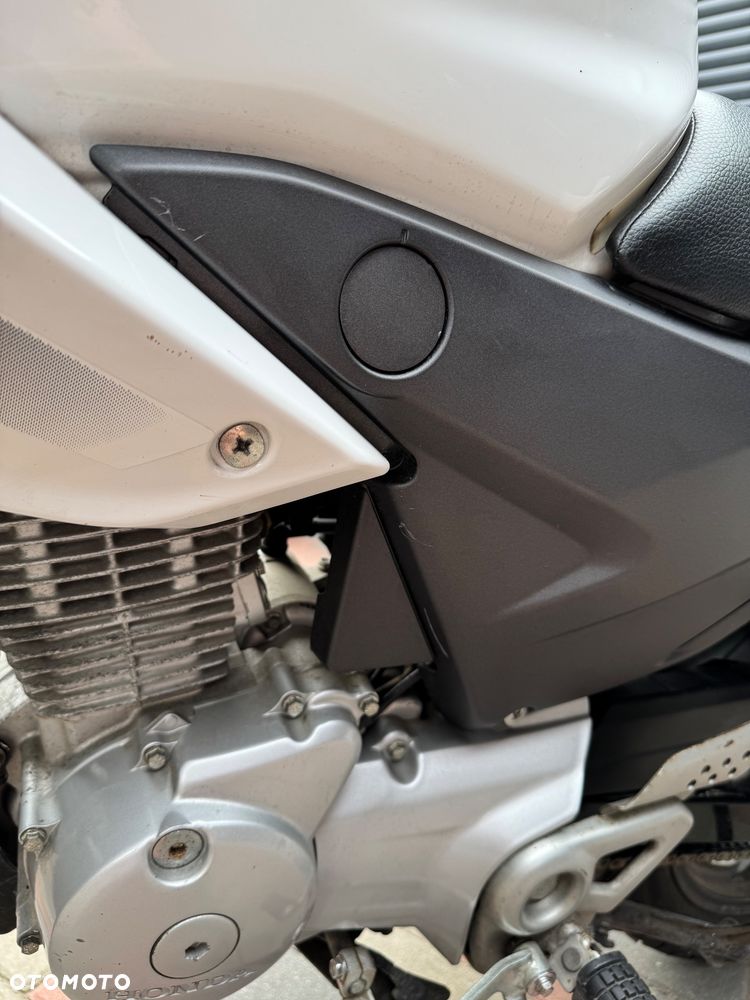 Honda CBF - 5