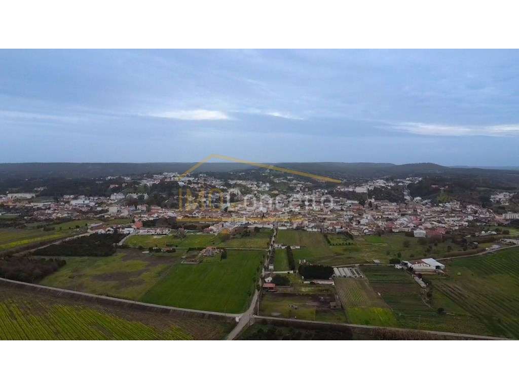 QUINTA DE 2 HÉCTARES NA CHAMUSCA| REFÚGIO COM ACESSO DIRETO AO RIO ... - Grande imagem: 3/30