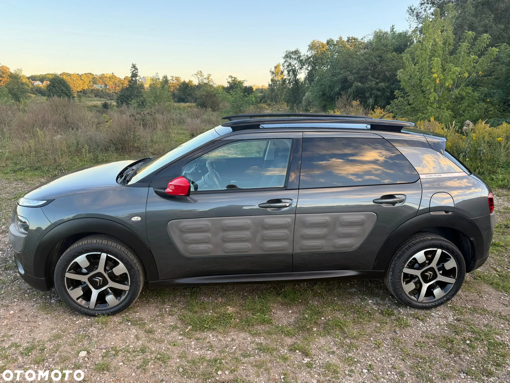 Citroën C4 Cactus BlueHDi 100 Stop&Start Live - 20
