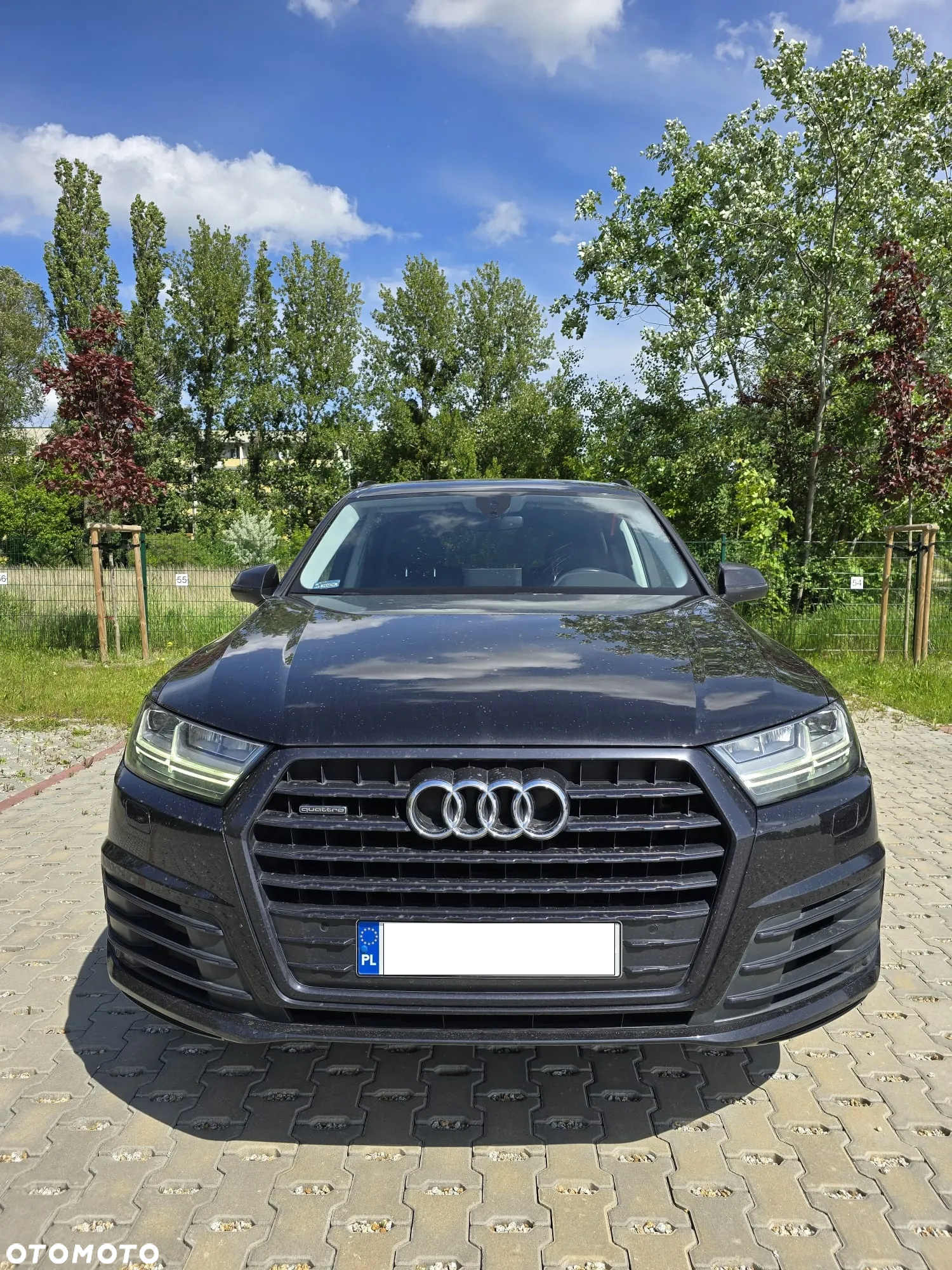 Audi Q7 45 TDI Quattro Tiptronic - 2