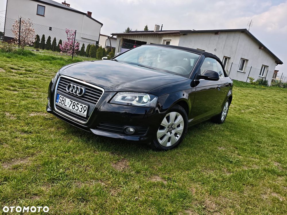 Audi A3 Cabrio 1.6 Attraction - 12