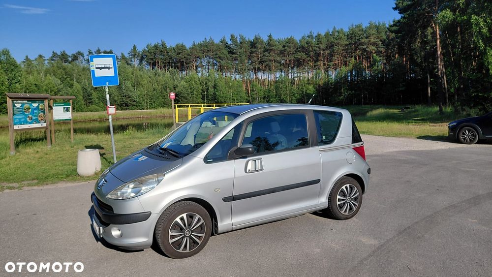 Peugeot 1007 - 22