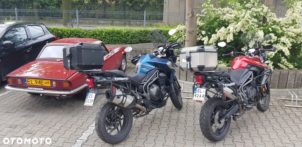 Triumph Tiger - 5