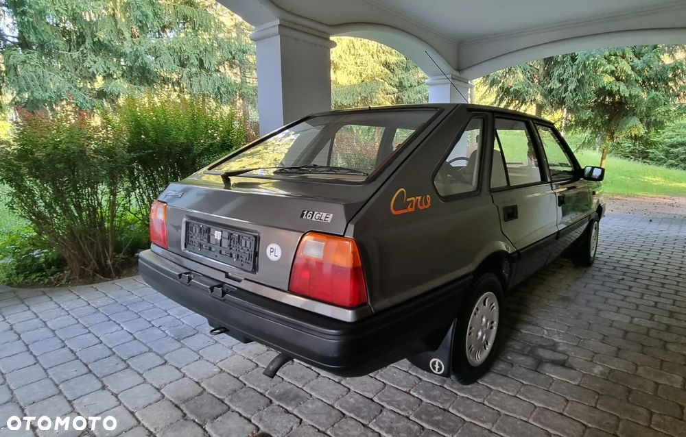Polonez Caro - 12