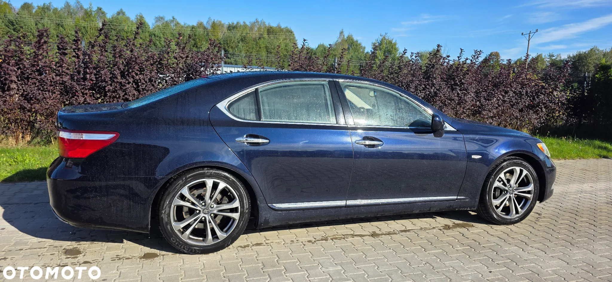 Lexus LS 460 - 9