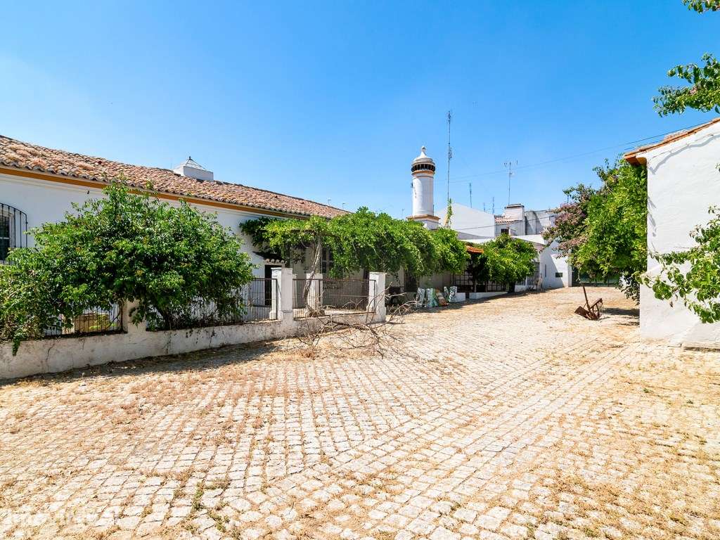 Moradia T4 situada em Elvas, Alentejo - Grande imagem: 5/13