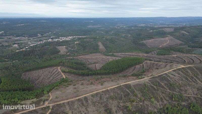 Oportunidade! Terreno Legalizado com Potencial de Construção – Arganil - Grande imagem: 5/6