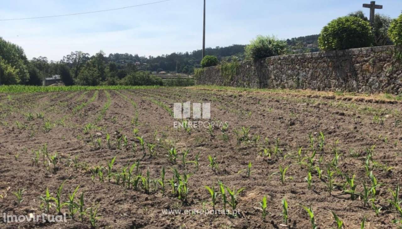 Venda de Terreno para construção em Padornelo, Paredes de Coura - Grande imagem: 2/20
