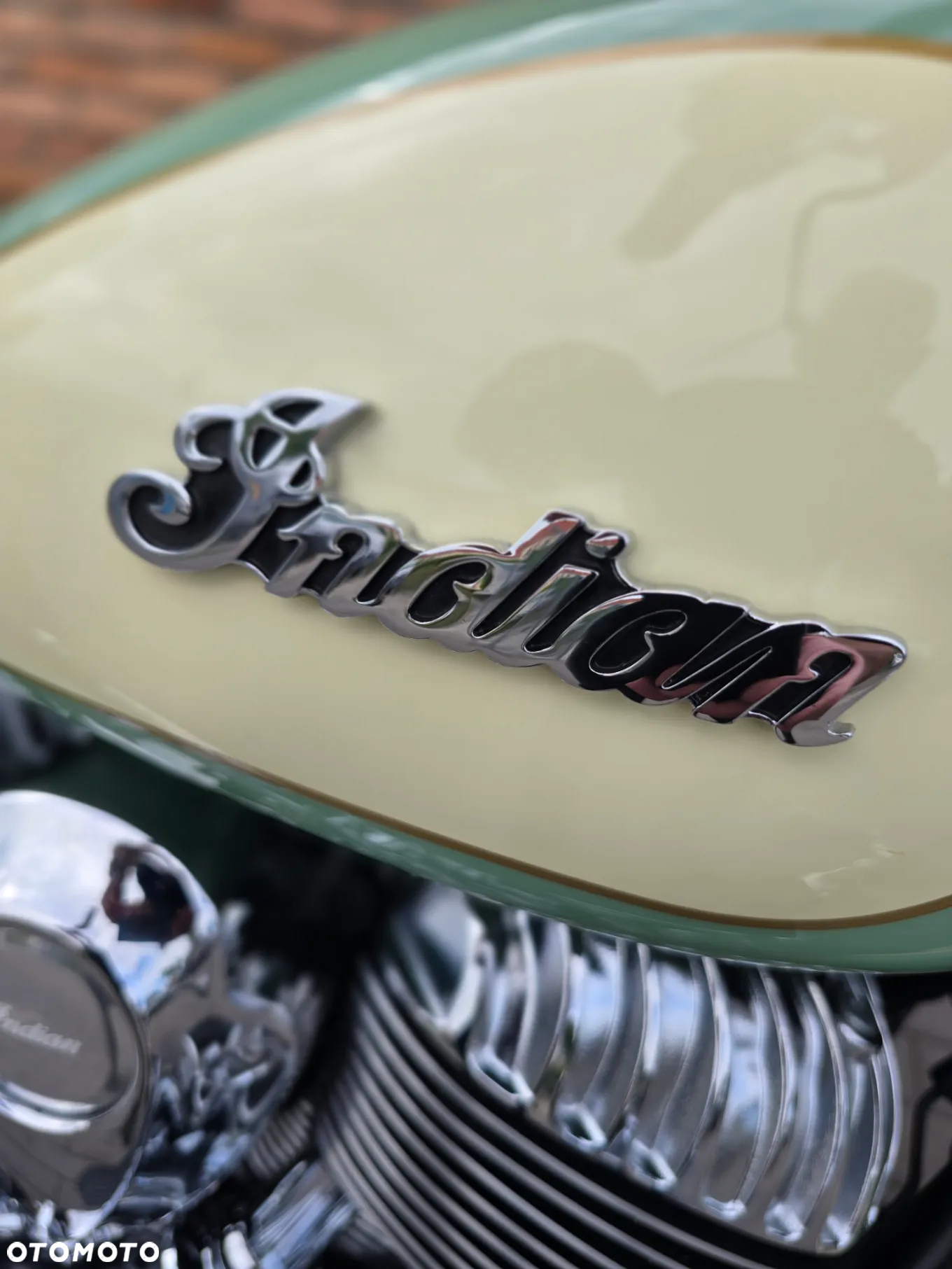 Indian Chief - 13
