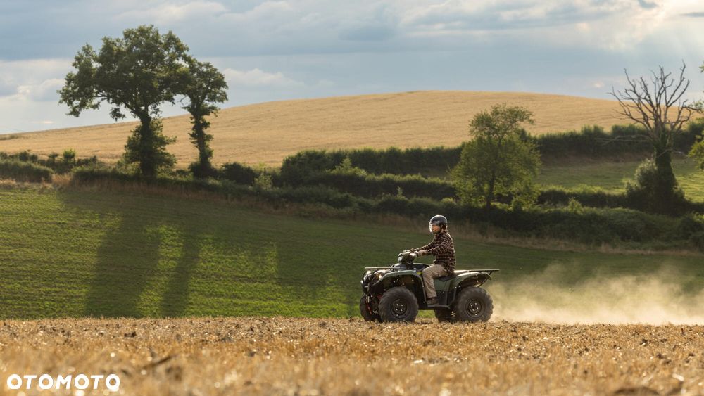 Yamaha Kodiak - 6