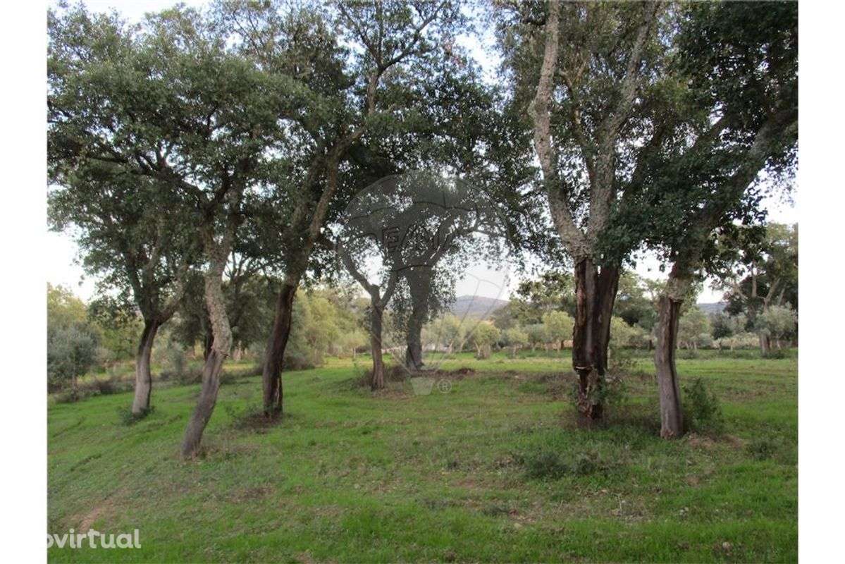 Quinta T0 para venda - Grande imagem: 5/25