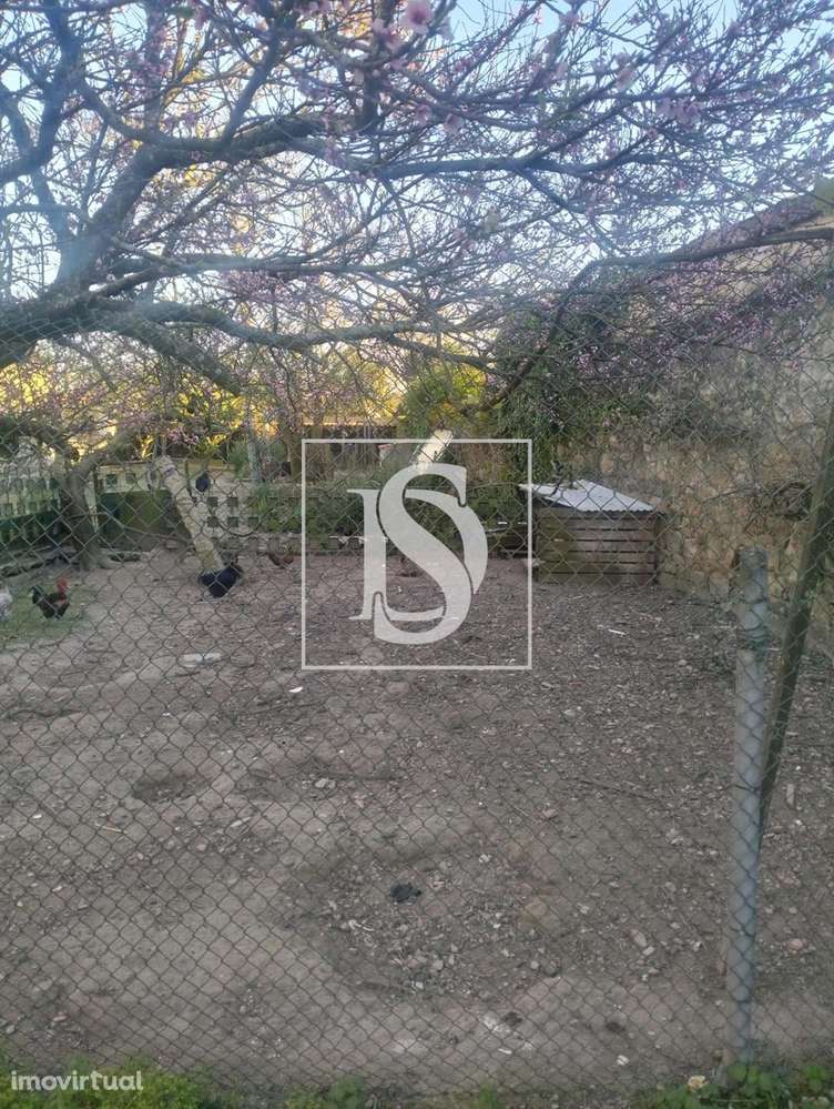 Terreno para Construção- Touguinha- Vila Conde - Grande imagem: 4/4