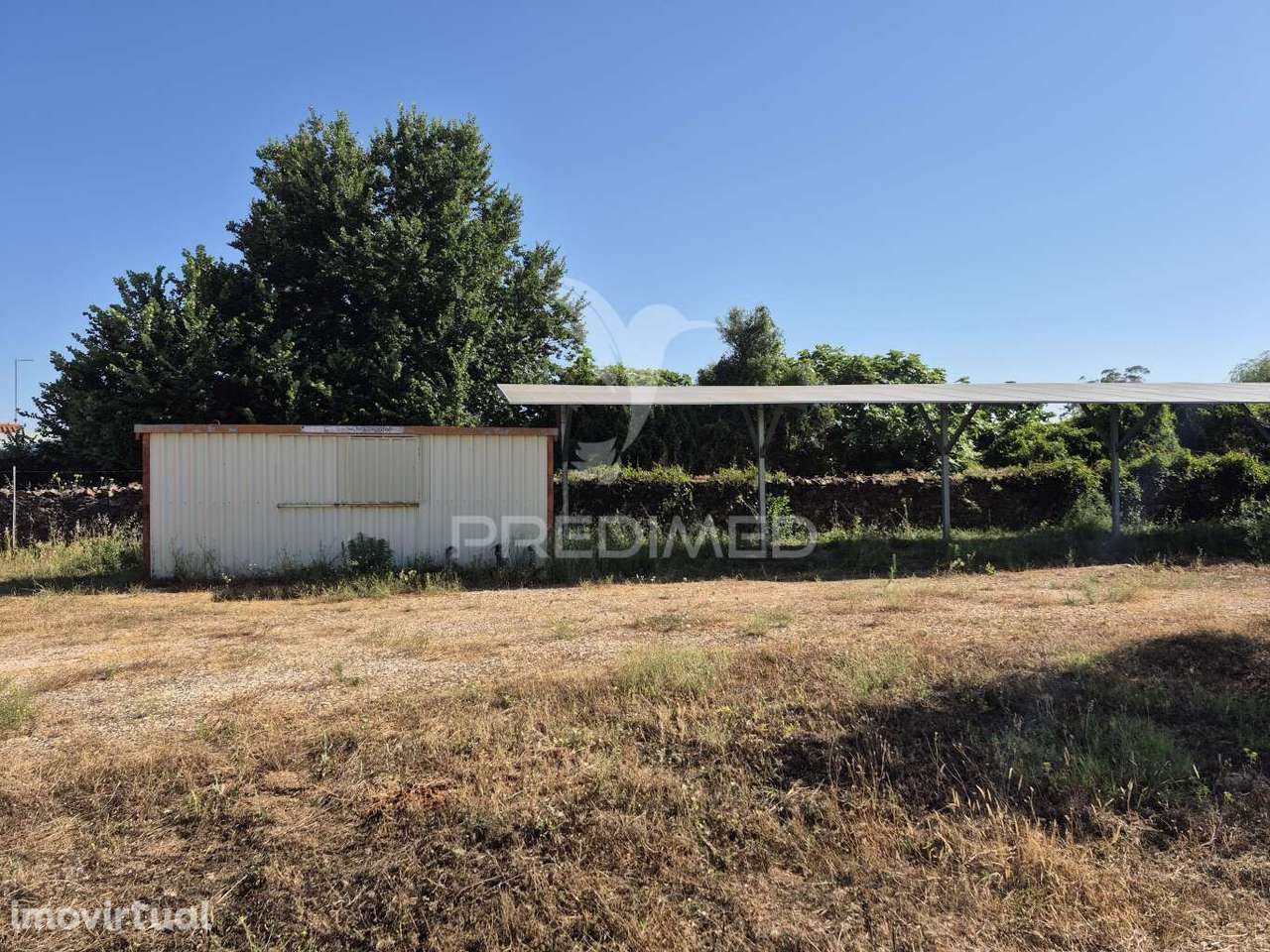 Olival intensivo - Grande imagem: 5/14