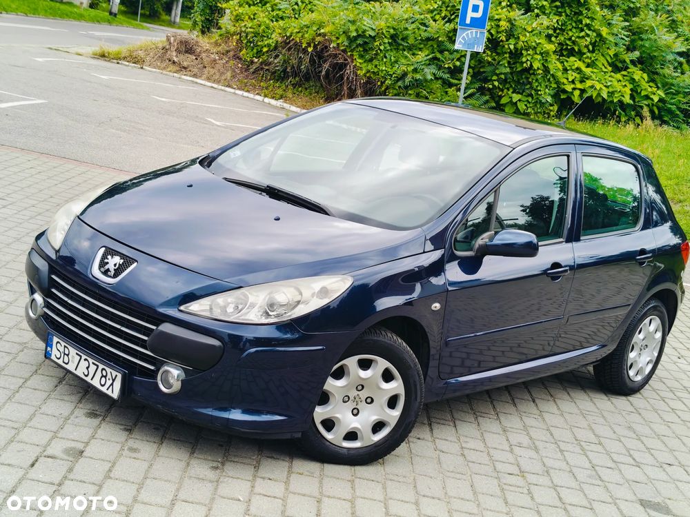 Peugeot 307 HDi 90 Grand Filou Cool - 2