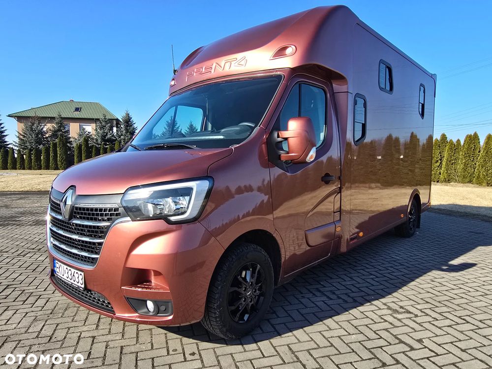 Renault Master Koniowóz - 8