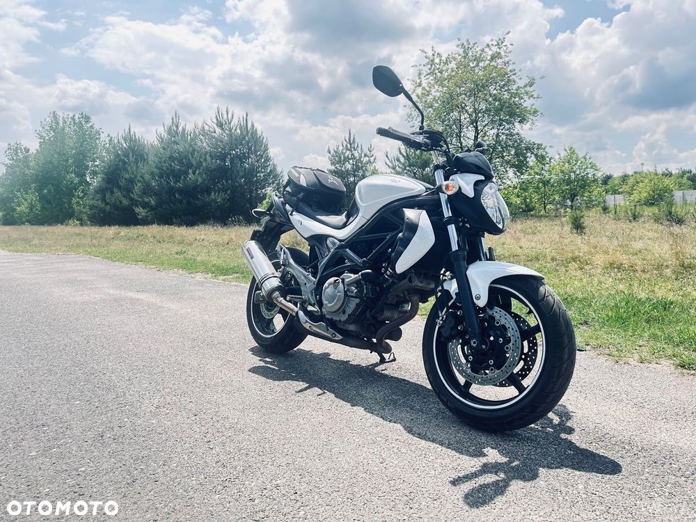 Suzuki Gladius - 2