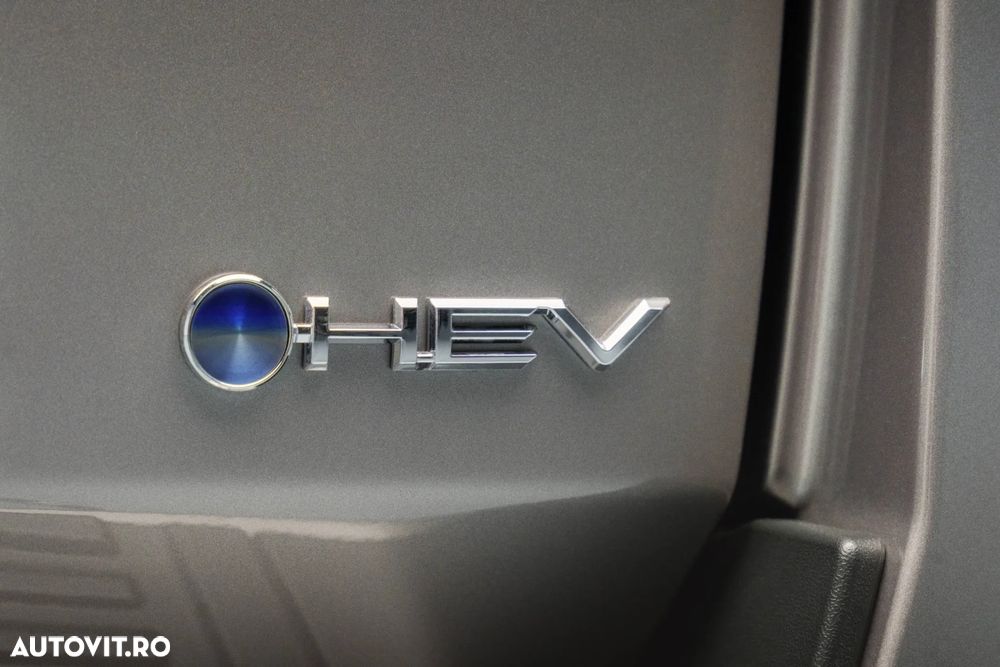 Toyota Land Cruiser - 20