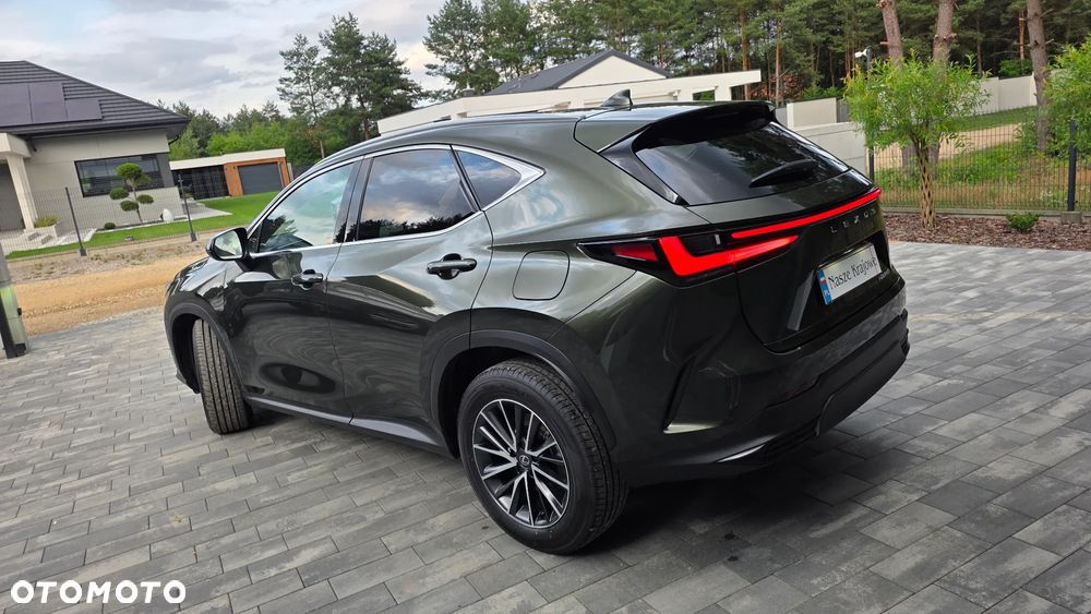 Lexus NX 350h Prestige 2WD - 6