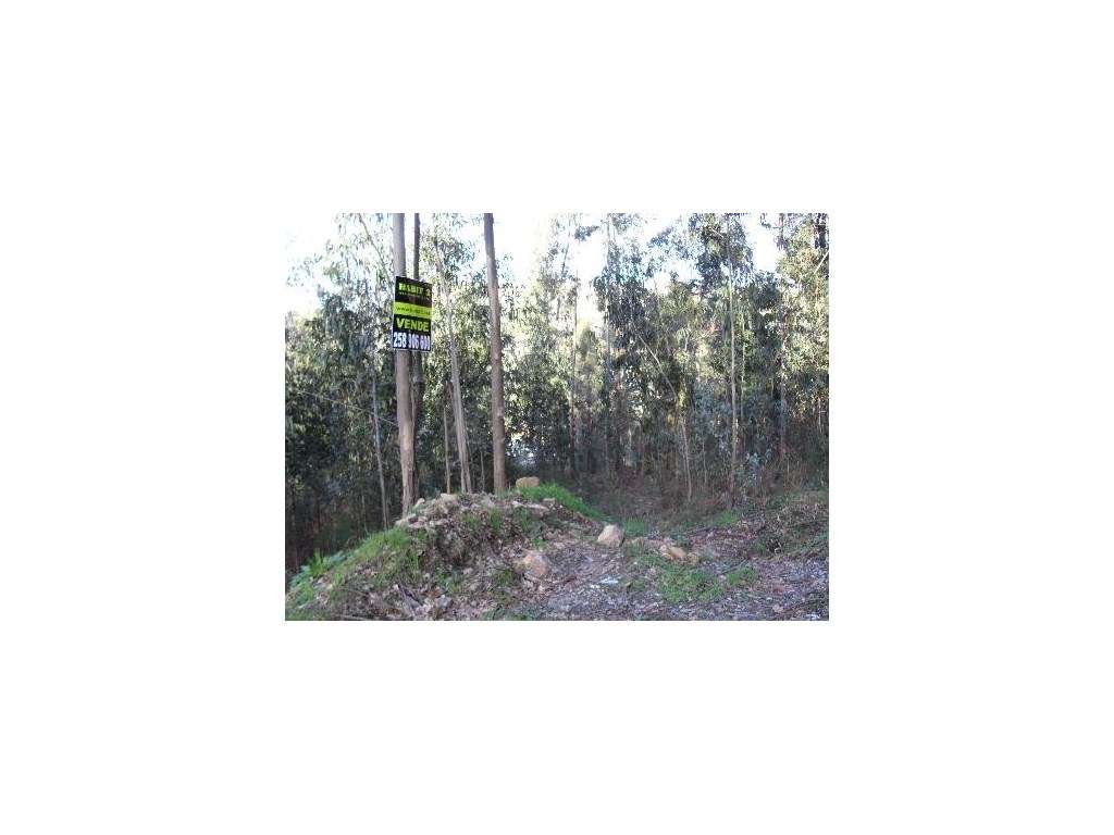 Terreno de Construção em Serdedelo - Grande imagem: 3/6