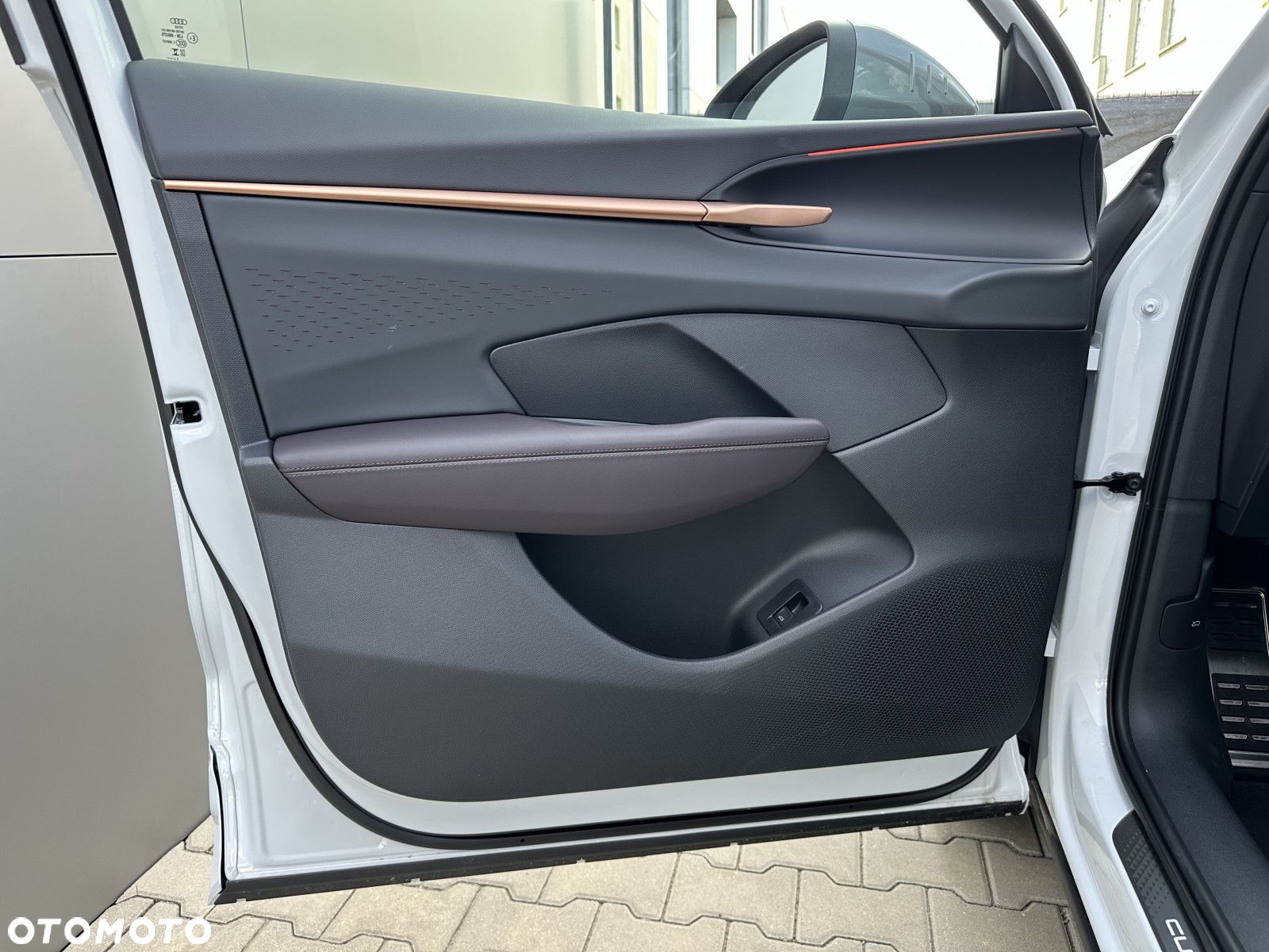 Cupra Terramar - 15